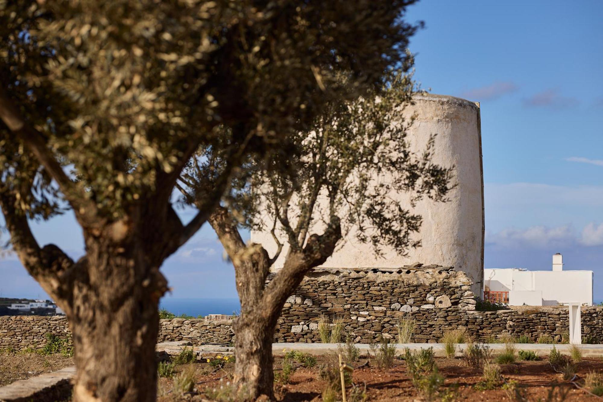 Nival Boutique Hotel Apollonia